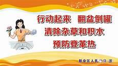 听说爱回来小说